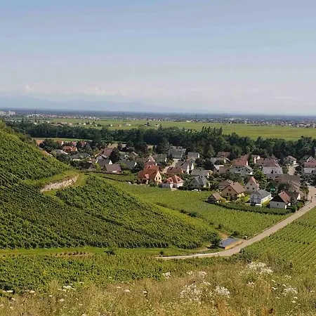 アパート La Douce Escale テュルクアイム